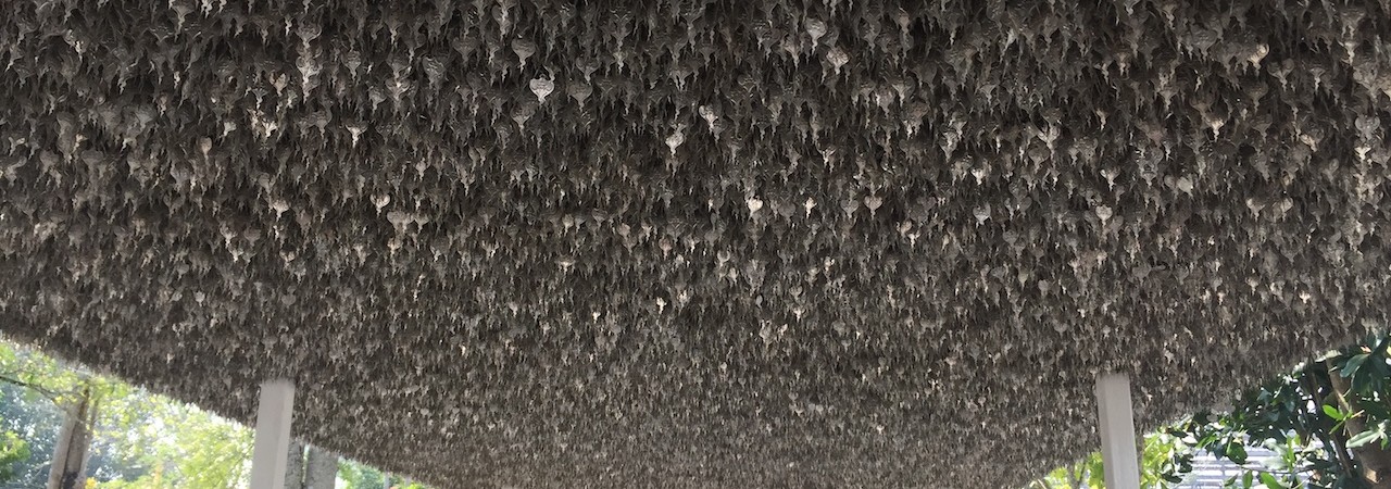 Voluptates est voluptatem autem velit.